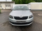 Skoda Octavia 1.4 TSI DSG Green tec Elegance *Leder* - Skoda Octavia: Elegance