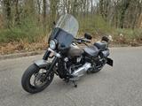Harley-Davidson Slim inkl. 465er Nockenwelle mit Mapping - Motorräder in Freiburg