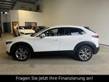Mazda CX-30  ACC 150Ps Kamera Navi Tot Winkel SHZ BOSE - gebrauchte Mazda CX-30 aus dem Jahr 2021