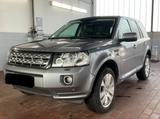 Land Rover Freelander 2 SE SD4 | LEDER PANO-SDACH - Land Rover Freelander SUV