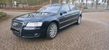Audi A8 6.0 W12 Top Zustand - Audi A8: W12
