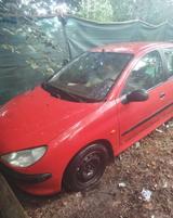 Peugeot 206 1.1 Filou 60 Filou - gebrauchte Peugeot 206 aus dem Jahr 1999