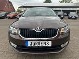 Skoda Octavia Lim. Ambition MFL PDC - Skoda Octavia: Limousine
