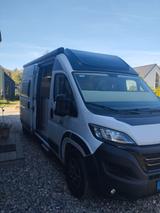 Chausson V594 Road Linie VIP  - Chausson Kastenwagen