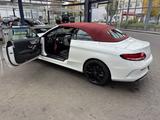 Mercedes-Benz C 220 d Autom. - AMG Line Cabriolet  - Mercedes-Benz C 220 Gebrauchtwagen in Nürnberg