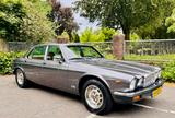Jaguar XJ 4.2 SERIE 3 Gun Metal Grey | Showroom  - Jaguar Gebrauchtwagen von 1985