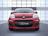 Fiat Panda Lounge Garantie/HU neu/Service neu - Fiat Panda: Rot