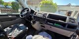 Volkswagen T6 Transporter, langer Radstand, Hundeboxen - Volkswagen T6 Transporter: Langer Radstand