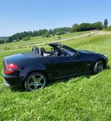 Mercedes-Benz SLK 200 R171  2Look-Edition - Mercedes-Benz SLK 200: R171