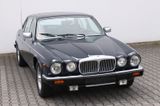 Jaguar Daimler Double Six Serie 3 mit 2 Jahren Garantie - Jaguar: Six Double