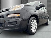 Fiat Panda - Vorschau Bild 4