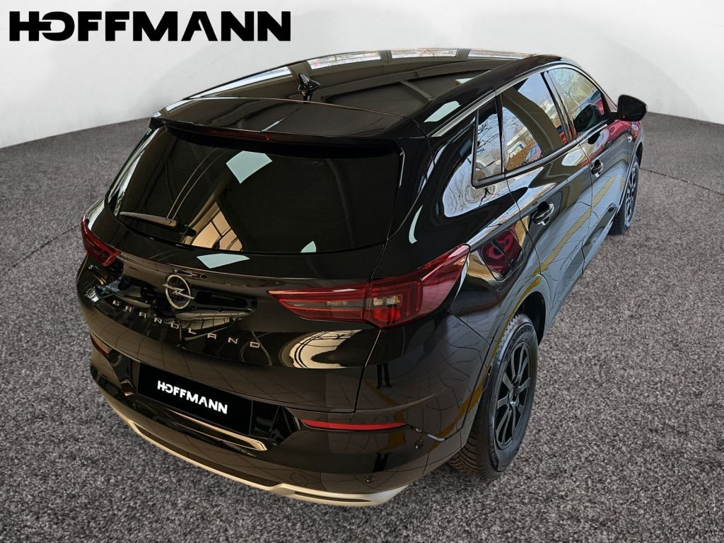 Fahrzeugabbildung Opel Grandland 1.2 DI Automatik Elegance