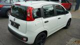 Fiat Panda Pop 1.2 Klima-Servo-Euro 6 Tüv neu - Fiat Panda Gebrauchtwagen in Düsseldorf