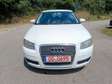 Audi A3 1.6 Attraction, TÜV04/27, SHZ, KLIMA, 176TKM - Audi A3 mit Benzin-Antrieb: 1.6