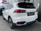 GWM WEY 03 Luxury - GWM Wey 03 Tageszulassungen