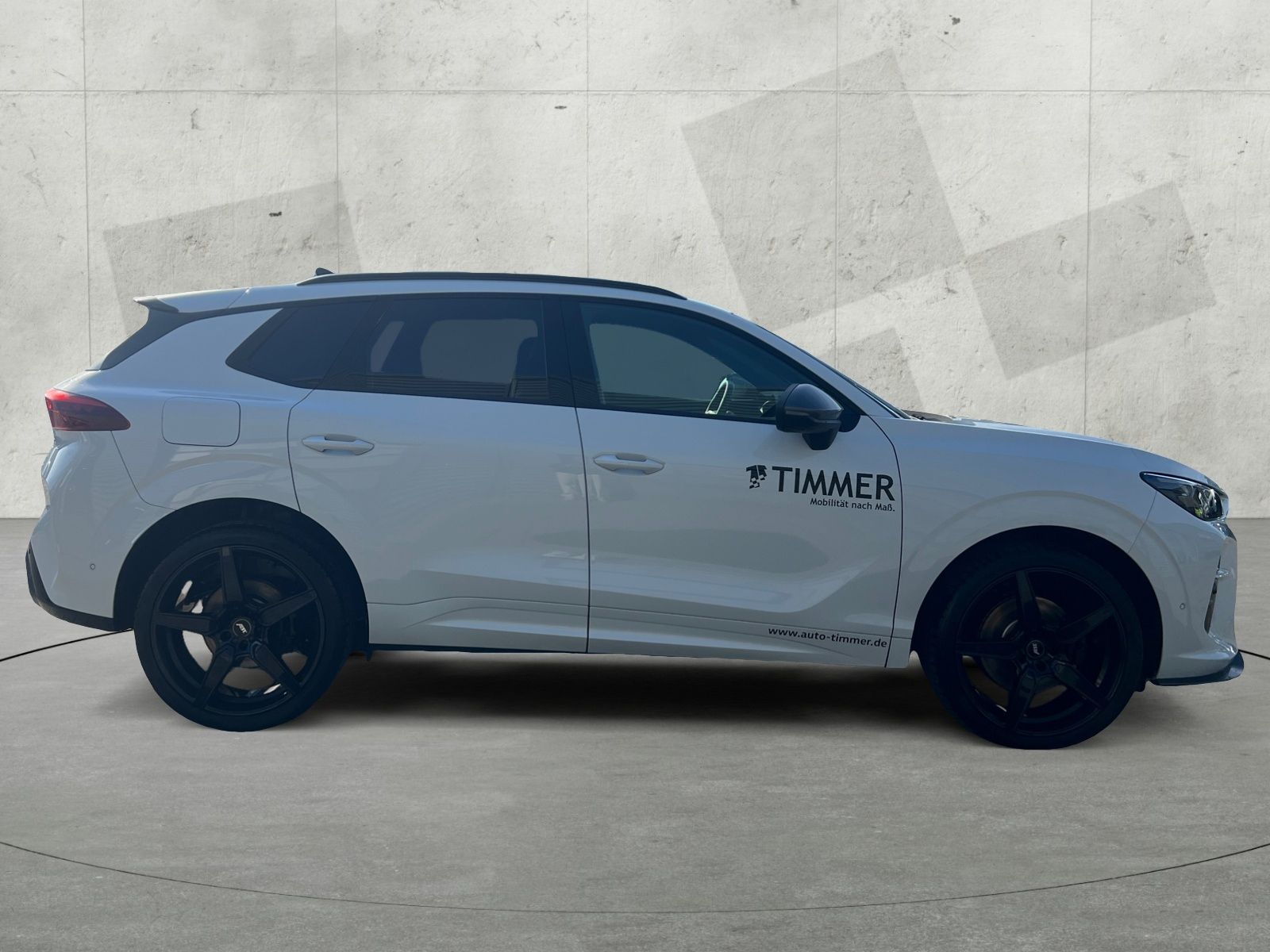 Cupra Terramar - Bild 7