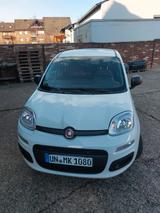Fiat Panda easy 1,2 51kw 55tkm Klima - sparsam - Fiat Panda: 5.5