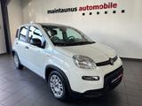 Fiat Panda Base *NEUWERTIG - kaum gefahren* - Fiat Panda: Van