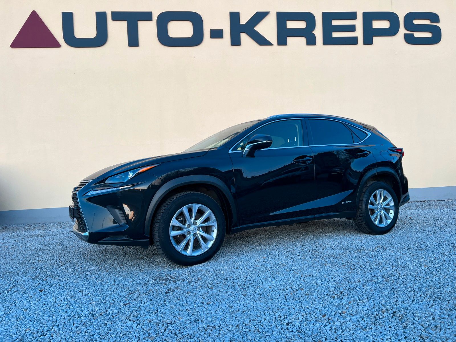 LEXUS NX 300