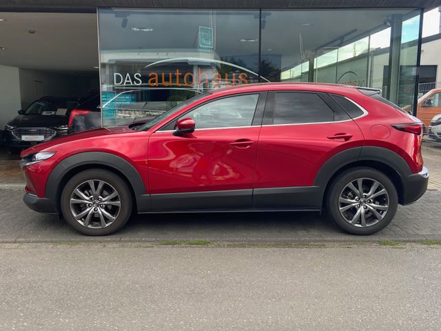 Fahrzeugabbildung Mazda CX-30 Selection , e-SKYAKTIV X*Head-Up*NAVI+RFK