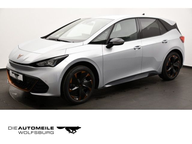 Born Edition Dynamic