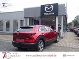 Mazda CX-30 Exclusive-Line X 186 Automatik|Matrix-LED| - Mazda CX-30: Exclusive Line
