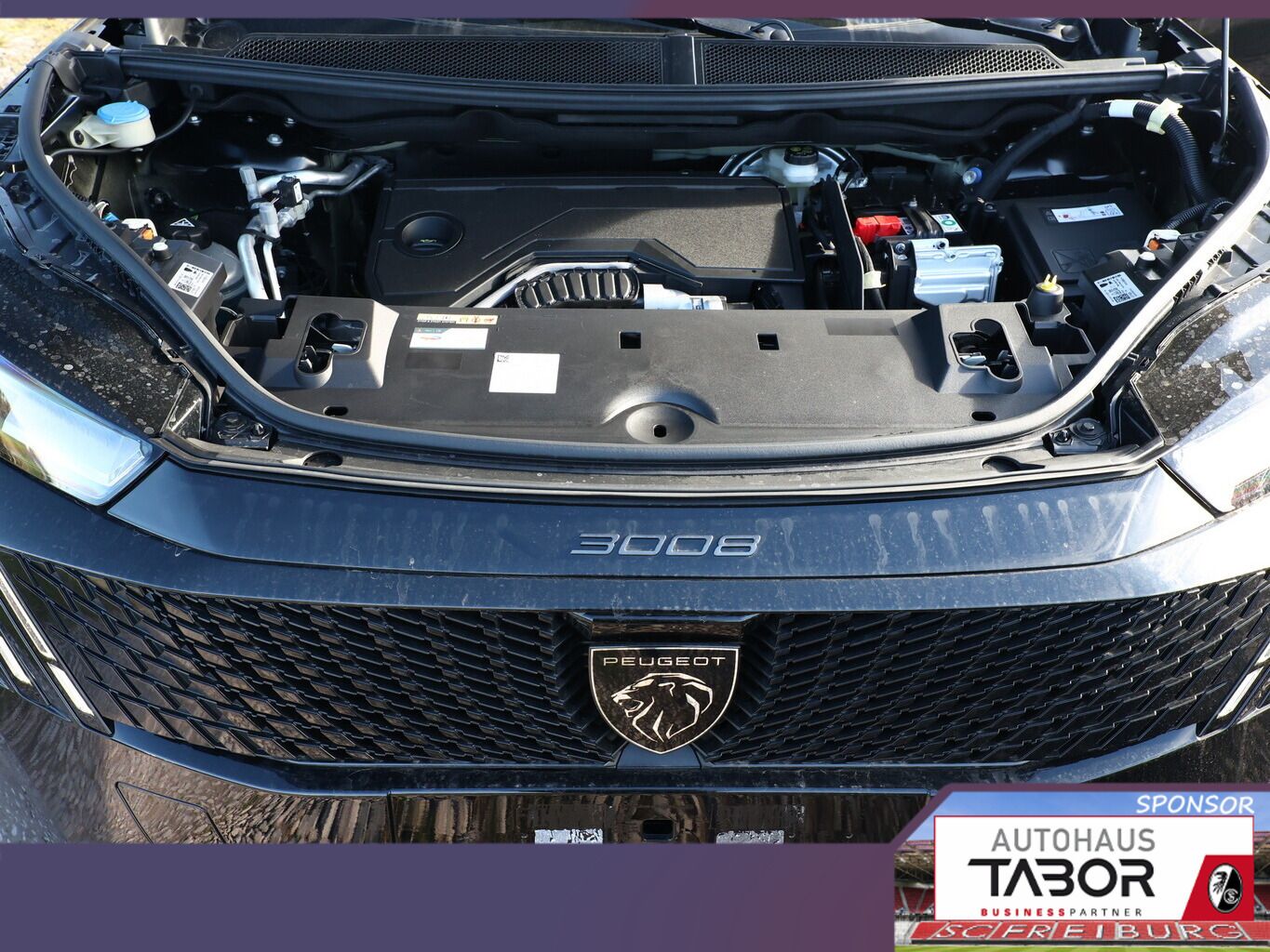 Peugeot 3008 - Bild 11
