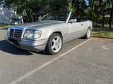 Mercedes-Benz  Cabrio W124, E200 H Kennzei... - Mercedes-Benz E 200: Cabrio, W124