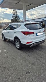 Hyundai Santa Fe / NAVI / 8-fach bereift / Vollleder - Hyundai SANTA FE aus 2018