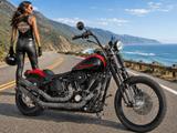 Harley-Davidson Cross Bones Springer Softail *5HD1/deutsch* - Motorräder in Frankfurt