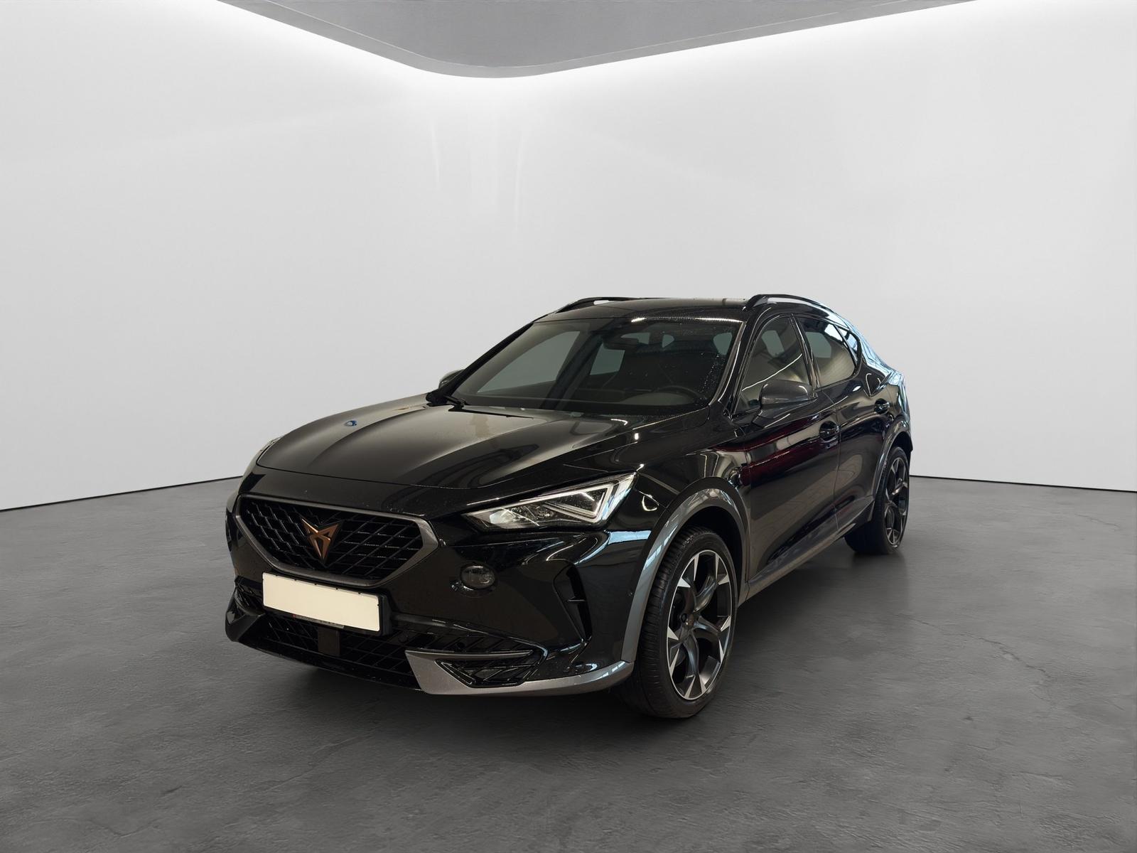 Cupra Formentor 2.0 TSI DSG 4Drive VZ LED NAVI ACC SID, миниатюра 2