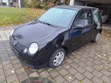 Volkswagen Lupo 1.0 Oxford Oxford - Volkswagen Lupo Oxford mit Benzin-Antrieb