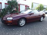 Chevrolet Camaro 3.8 Automatik Cabrio Leder elk. Verdeck - Chevrolet: Ver
