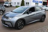 BYD DOLPHIN Comfort 150kW 60kWh - BYD DOLPHIN: Grau
