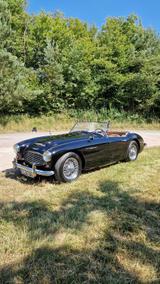 Austin Healey Andere - Austin Healey Gebrauchtwagen von 1961