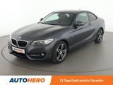 BMW 218i Sport Line Aut.*BI-XENON*TEMPO*PDC*SHZ* - BMW 2 Series in Frankfurt (Main)