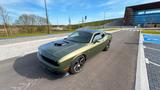 Dodge Challenger - Dodge: Grün