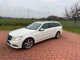 Mercedes-Benz E 350 CDI 4MATIC T BlueEFFICIENCY - - Mercedes-Benz E 350