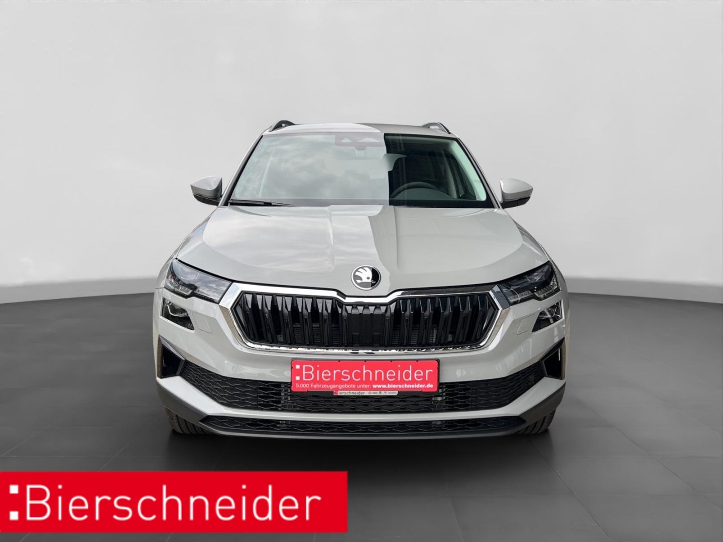 Skoda Karoq - Bild 10