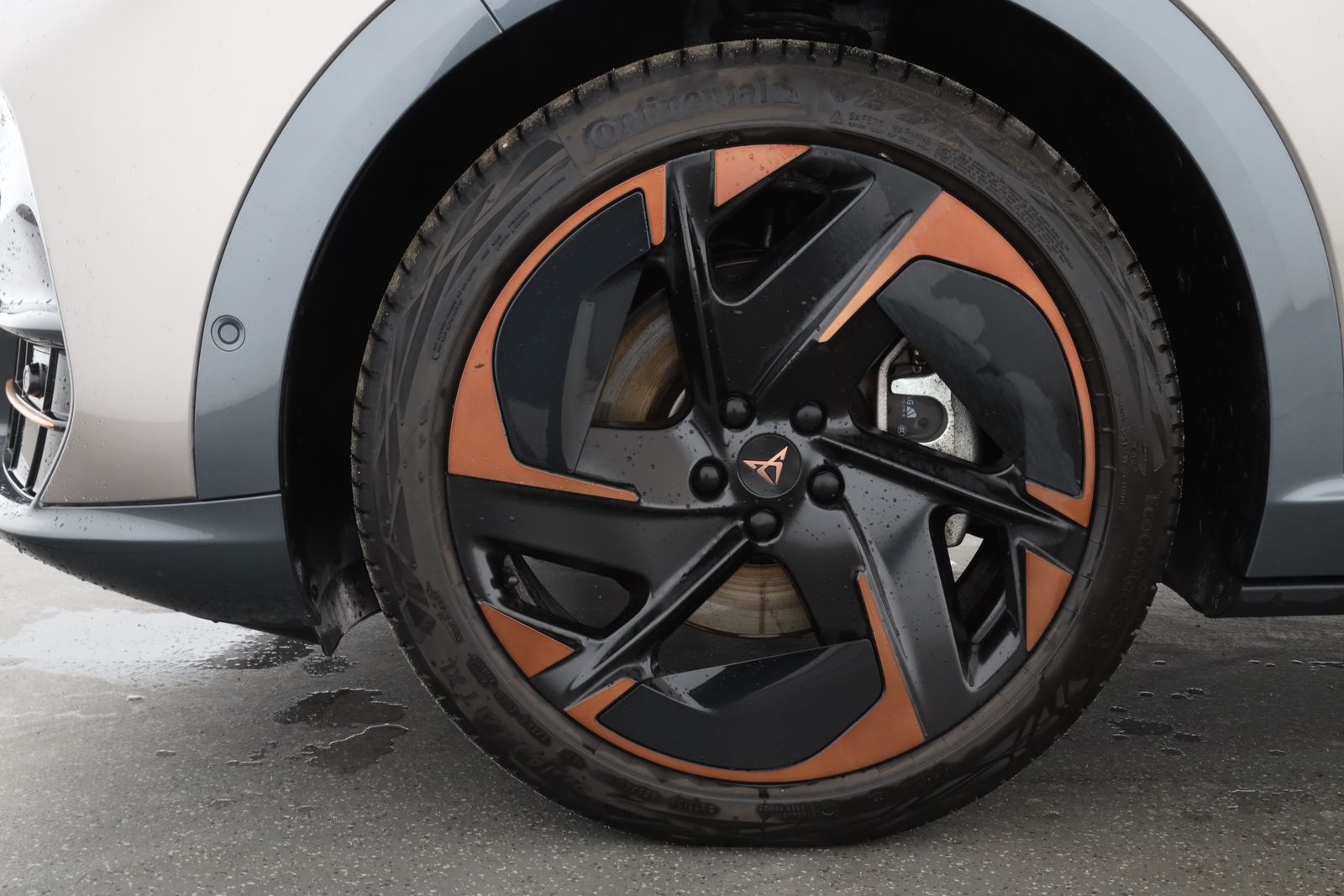 Cupra Tavascan - Bild 10