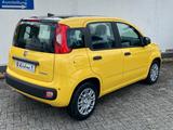 Fiat Panda 1.0 GSE Pandina Hybrid Dach schwarz - Fiat Panda Gebrauchtwagen in Aachen