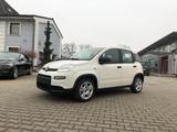 Fiat New Panda 1.0 Hybrid *5 Sitzer Klima Komfort* - Fiat New Panda aus 2024