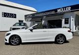 Mercedes-Benz C 180 Cabrio"AMG-LINE"+LEDER+Dyn.Select+LED+1A - Mercedes-Benz Sel