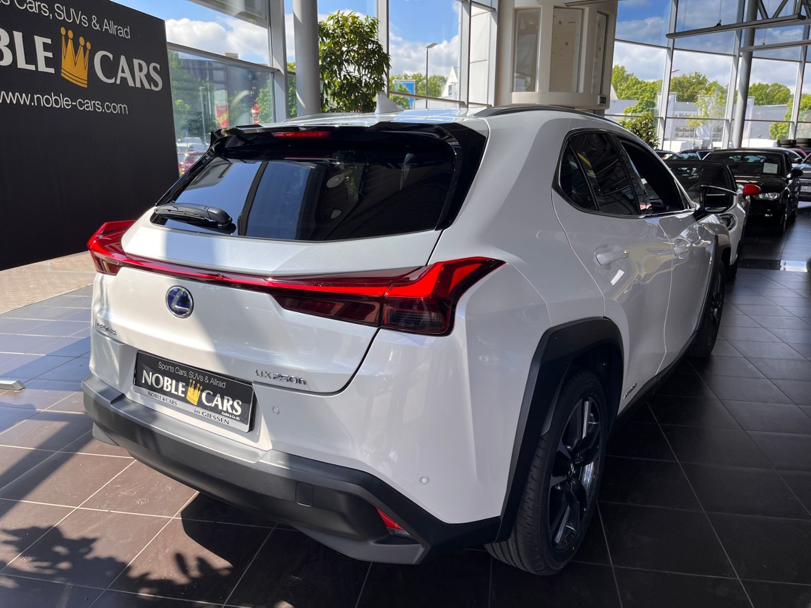 Fahrzeugabbildung Lexus UX 250 h Style Edition Full Link RFK KLIMA LED