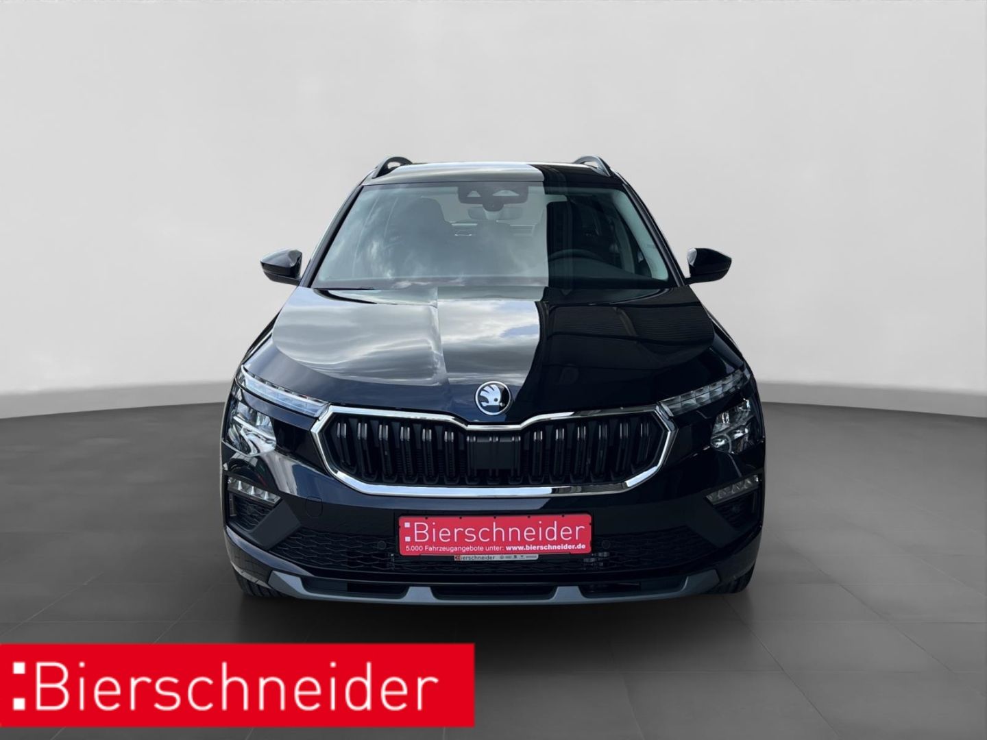 Skoda Kamiq - Bild 10