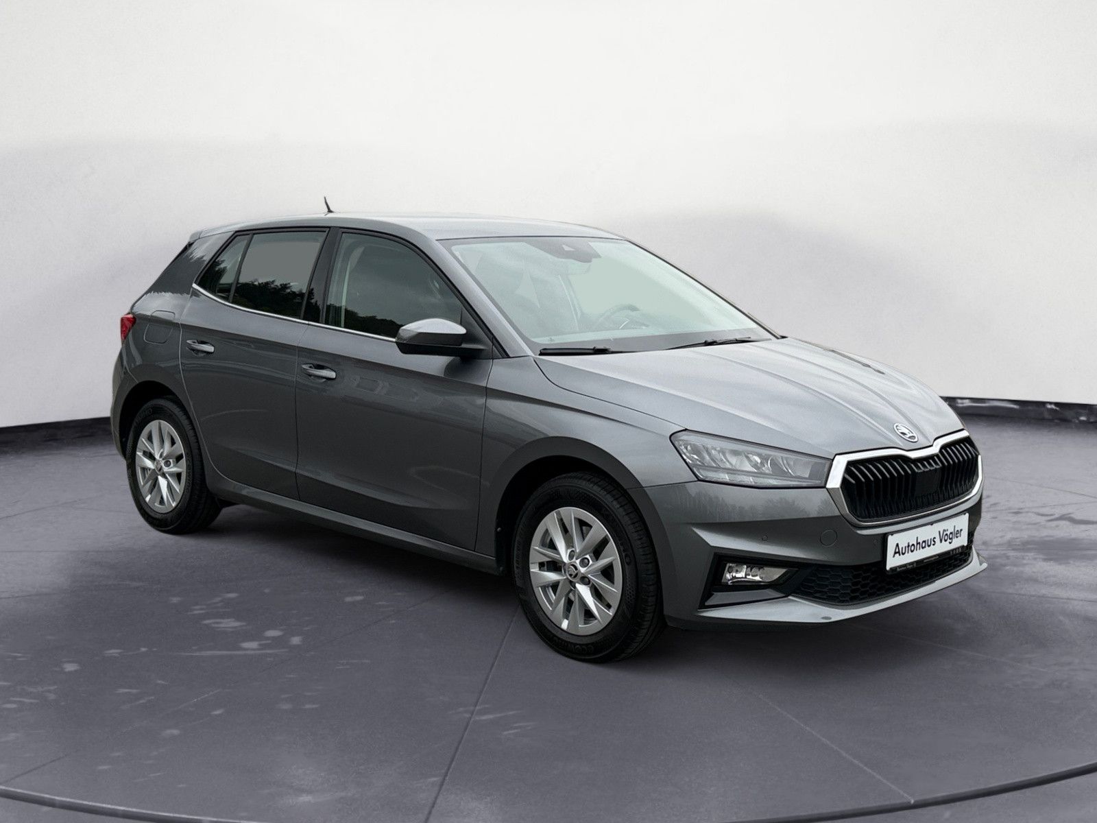 Fabia 1,0 TSI DSG Style Kamera CarPlay LED