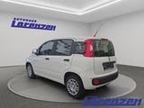 Fiat Panda 1.0 70PS Klima DAB Spurhalteass. Verkehrsz - Fiat Panda aus 2025