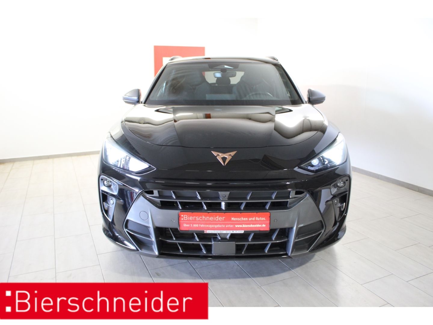 Cupra Terramar - Bild 3