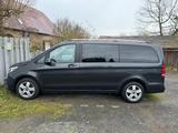 Mercedes-Benz Familienauto gesucht? V 250 d Aut. EDITION lang - : Van, Familienauto