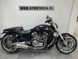 Harley-Davidson VRSCF MUSCLE V-ROD 1250 ABS FINAL EDITION BOVAGG - CHOPPER 125